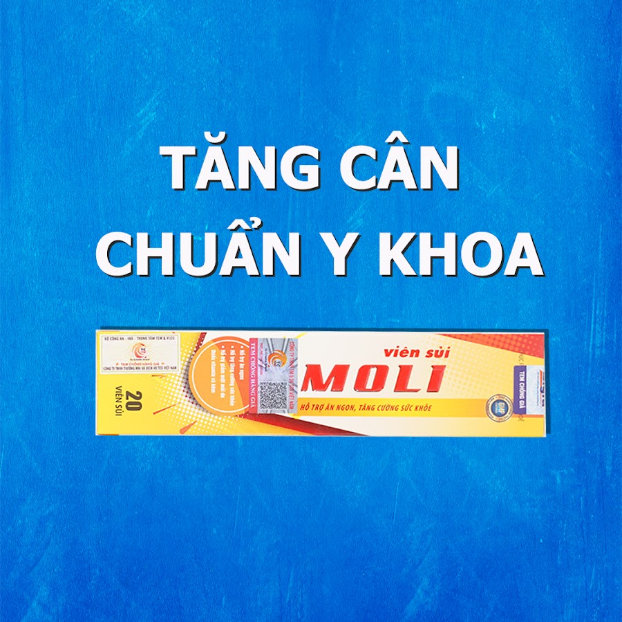 MoLi Việt Nam - YouTube