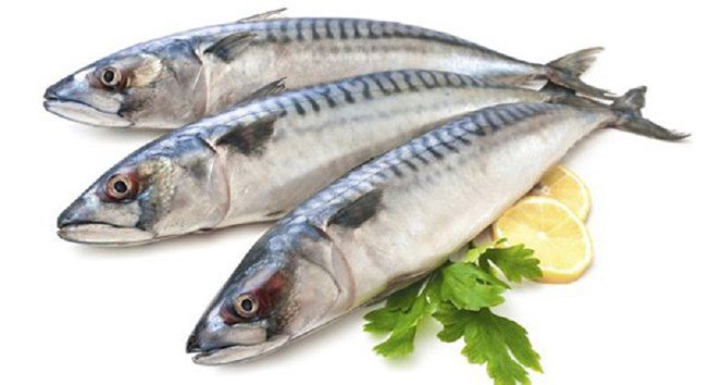 Cá thu - một loại cá chứa nhiều Omega-3