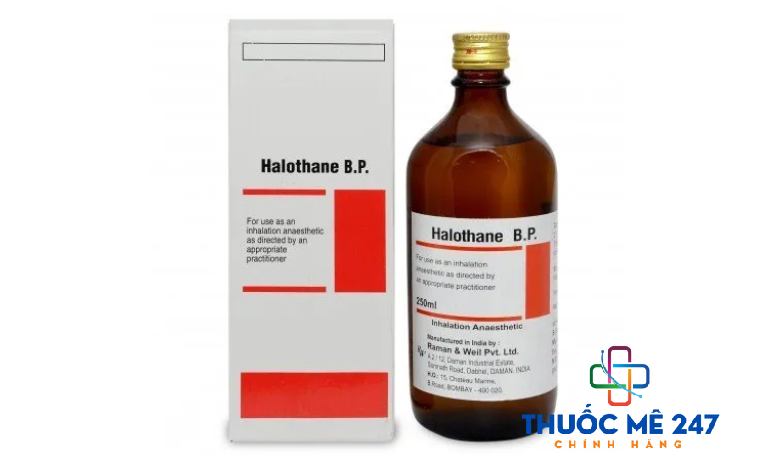 Thuốc mê dạng xịt Halothane BP