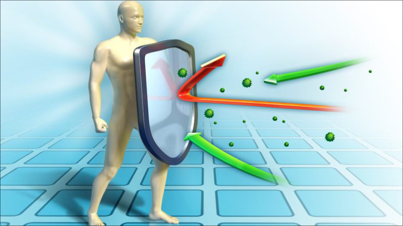 Kích thích tế bào miễn dịch hoạt động hiệu quả là một tác dụng của kẽm đối với cơ thể