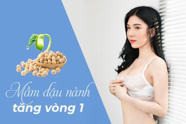 【Toplist】+5 Viên Mầm Đậu Nành Tăng Vòng 1 Hiệu Quả & An Toàn Nhất